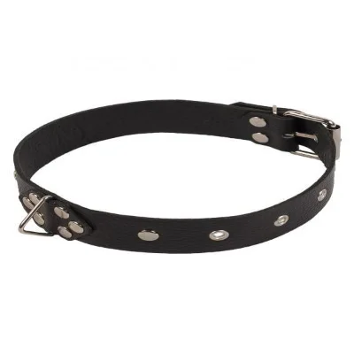 Ошейник Leather Restraints Collar, Black