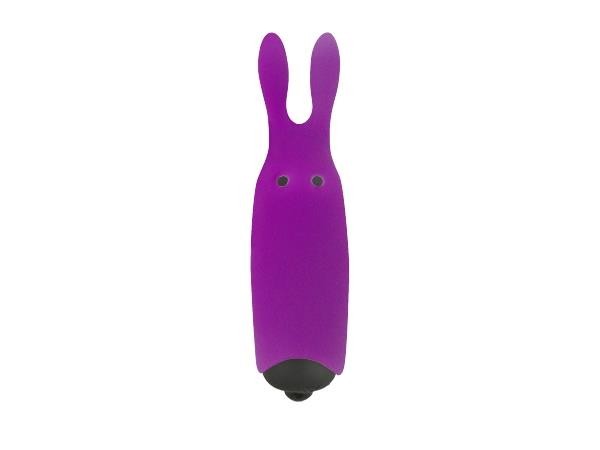 Вібратор - Adrien Lastic Pocket Vibe Rabbit Purplle - зображення 1